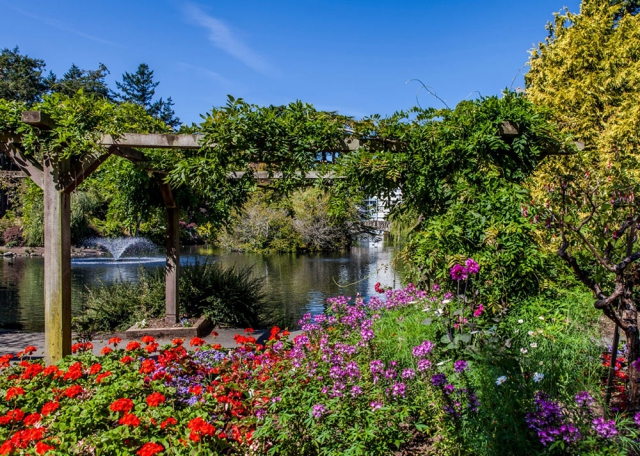 Beacon Hill park pond with red, pink and purple flowers in the foreground, sitting area surrounded by green and water.