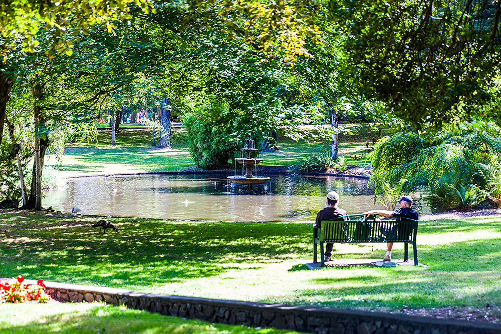2 elders sitting on a park bench infront of small pond with ducks and water fountain, surrounded by green leaves, trees and grass. Red flower in lower left corner.