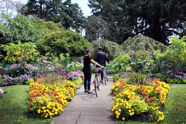 Couple walking with bikes at Beacon Hill park, large yellow marigolds along path towards large coniferous tree