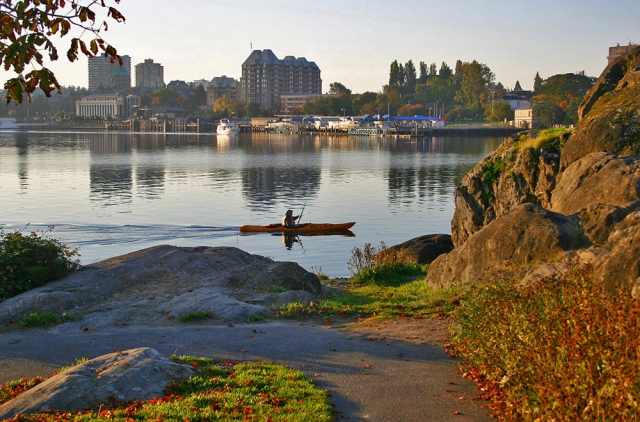 Inner harbour kayaker late day paddle on calm water, walking path in foreground