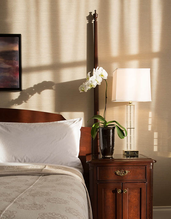 Magnolia Room bathed in sun, orchid on bedside table